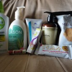 Influenster Natural VoxBox Review of goodies